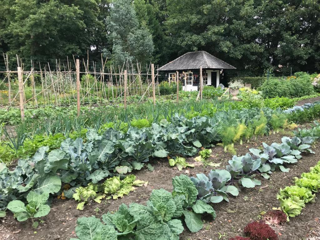 Het Wagenhuis Loon op Zand Exteriör bild